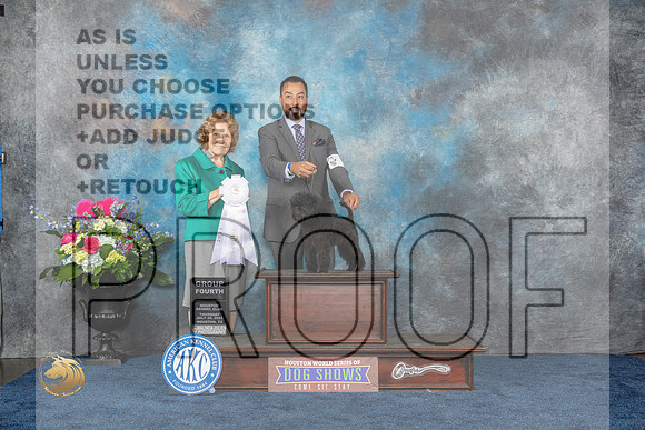Affenpinscher #5 Thurs G4 Judge Donnelle RichardsMJP_3095_HOUSTON_2023_HR3
