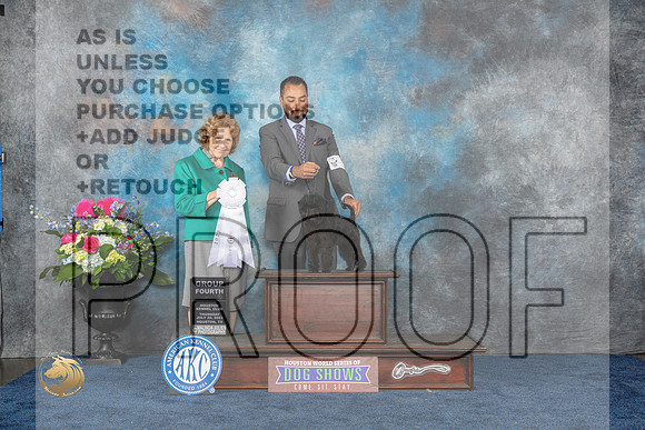Affenpinscher #5 Thurs G4 Judge Donnelle RichardsMJP_3101_HOUSTON_2023_HR3