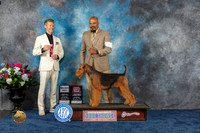 Airedale Terrier #9 Thurs SD Judge Duff Harris