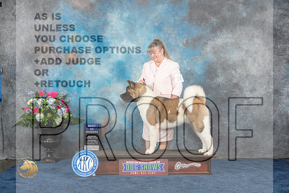 Akita #14 Thurs BOW WB Judge Eric LiebesMJP_2455_HOUSTON_2023_HR3