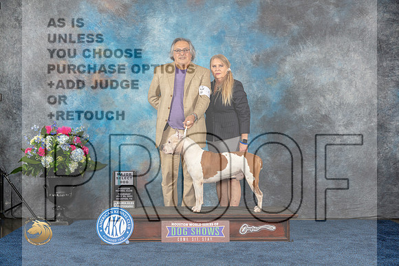 American Staffordshire Terrier #9 Thurs S MAJ Judge HarrisMJP_2187_HOUSTON_2023_HR3