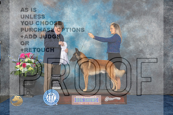 Belgian Malinois #9 Thurs G4 Judge Charles OlvisMJP_3037_HOUSTON_2023_HR3