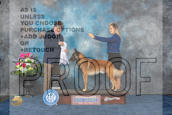 Belgian Malinois #9 Thurs G4 Judge Charles OlvisMJP_3040_HOUSTON_2023_HR3