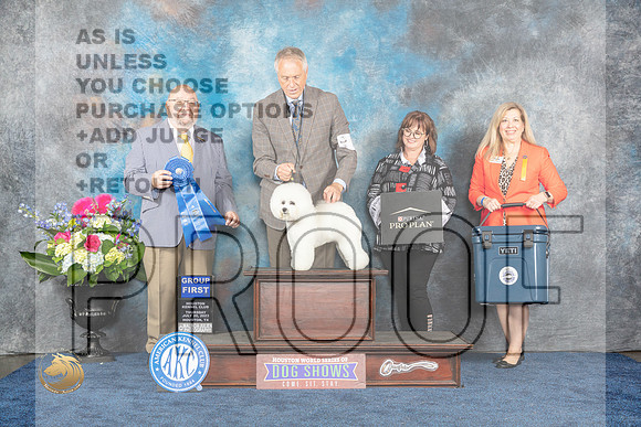 Bichon Frise #15 Thur G1 Judge Ray Filburn JrMJP_3313_HOUSTON_2023_HR3