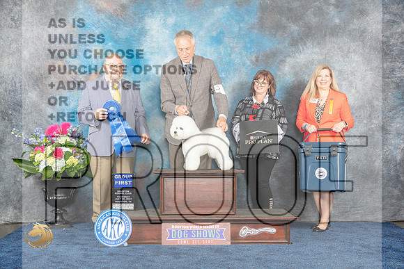 Bichon Frise #15 Thur G1 Judge Ray Filburn JrMJP_3322_HOUSTON_2023_HR3
