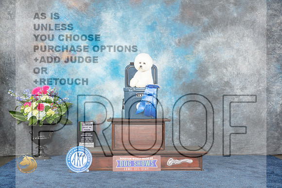 Bichon Frise #15 Thur G1 Judge Ray Filburn JrMJP_3333_HOUSTON_2023_HR3