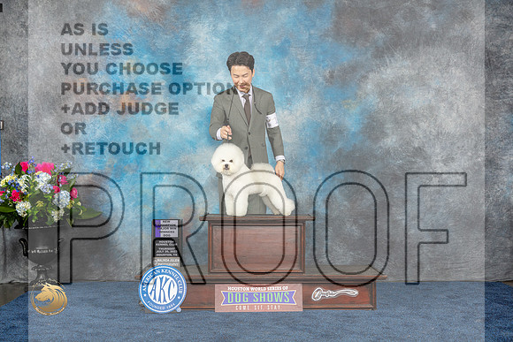 Bichon Frise #9 Thurs WD NC Judge Charles OlvisMJP_2685_HOUSTON_2023_HR3