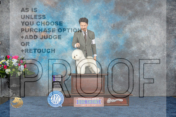 Bichon Frise #9 Thurs WD NC Judge Charles OlvisMJP_2690_HOUSTON_2023_HR3