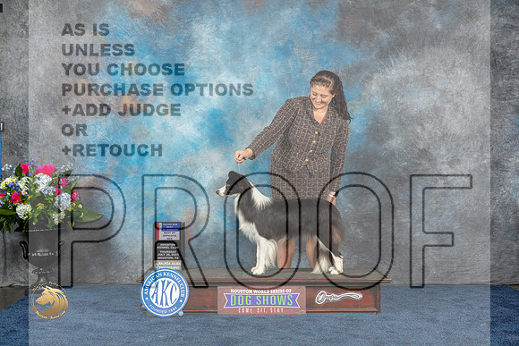 Border Collie #10 Thurs WB BOW BOS Judge Joan LiebesMJP_2736_HOUSTON_2023_HR3