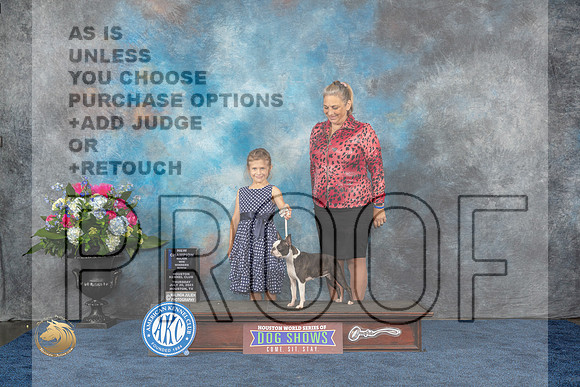 Boston Terrier #34 Thurs WB MAJ NC Judge Donnelle RichardsMJP_2350_HOUSTON_2023_HR3