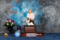 Boston Terrier #5 Thurs WD BOW Judge Donnelle Richards