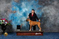 Boxer #? Thurs RubyGr Judge Michelle Blackowl Chavez