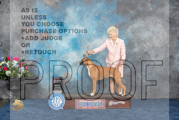 Boxer #26 Thurs BOS Judge Joe DeleoMJP_2754_HOUSTON_2023_HR3