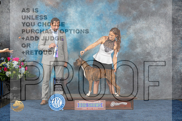 Boxer #56 Thurs WB BOW MAJ Judge Joe DeleoMJP_2823_HOUSTON_2023_HR3