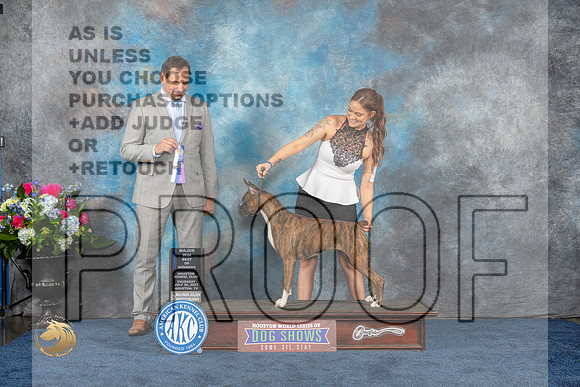 Boxer #56 Thurs WB BOW MAJ Judge Joe DeleoMJP_2826_HOUSTON_2023_HR3