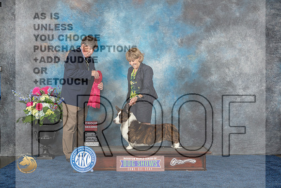 Cardigan Welsh Corgi #11 Thurs G2 Judge Charles OlvisMJP_3029_HOUSTON_2023_HR3