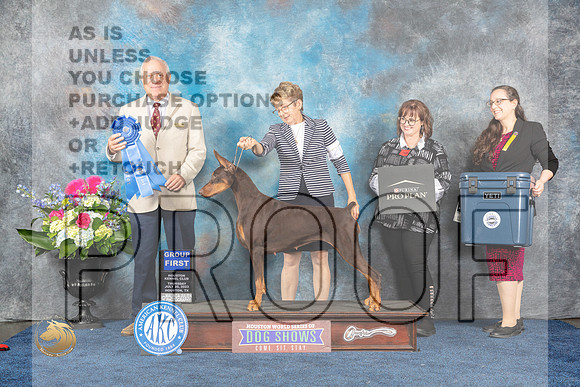 Doberman Pinscher #20 Thur G1 Judge Eric LiebesMJP_3222_HOUSTON_2023_HR3
