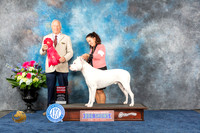 Dogo #? Thur G2 Judge Eric Liebes