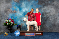 Dogo #15 Thurs WD BW MAJ Judge Eric Liebes