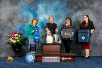 Havanese #5 Thurs G1 Judge Donnelle Richards