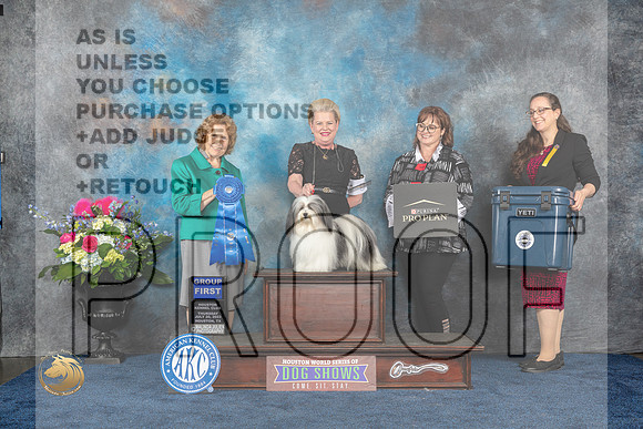 Havanese #5 Thurs G1 Judge Donnelle RichardsMJP_3085_HOUSTON_2023_HR3