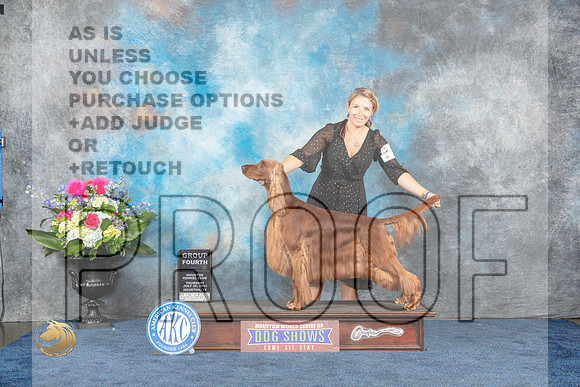 Irish Setter #10 Thur G4 Judge Cindy LaneMJP_3190_HOUSTON_2023_HR3
