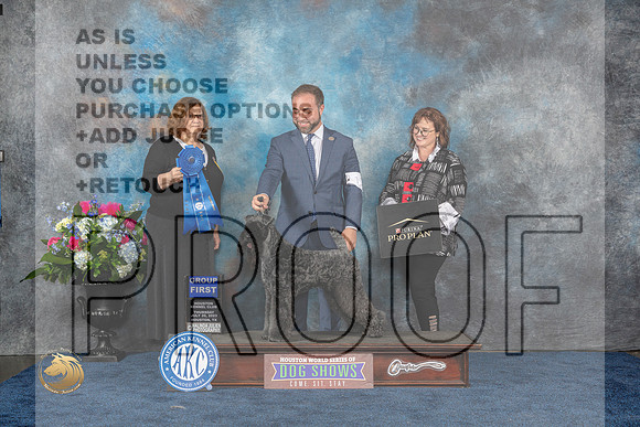 Kerry Blue Terrier #11 Thurs G1 Judge Elizabeth MuthardMJP_2962_HOUSTON_2023_HR3