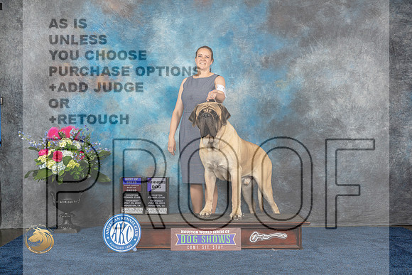 Mastiff #9 Thurs BOB OHBOB WD Judge Joe Deleo rMJP_3069_HOUSTON_2023_HR3