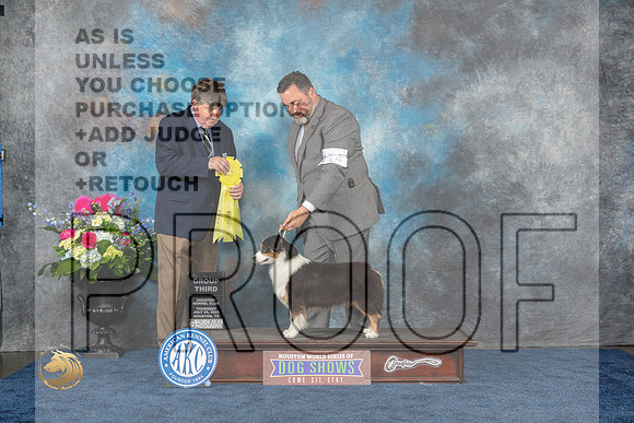 Miniature American Shepherd #14 Thurs G3 Judge Charles OlvisMJP_3035_HOUSTON_2023_HR3