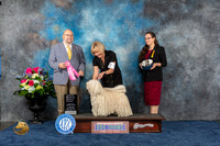 Puli #5 Thurs NOHS G1 Judge Raymond Filburn Jr