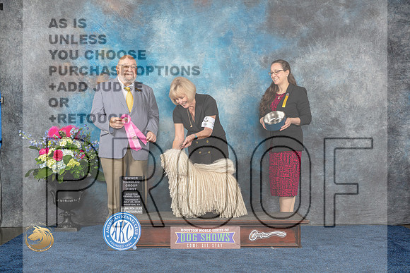 Puli #5 Thurs NOHS G1 Judge Raymond Filburn JrMJP_3106_HOUSTON_2023_HR3