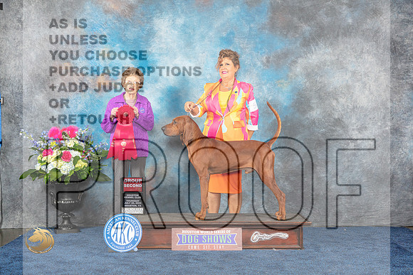 Rebone Coonhound #5 Thur G2 Judge Pat TrotterMJP_3143_HOUSTON_2023_HR3