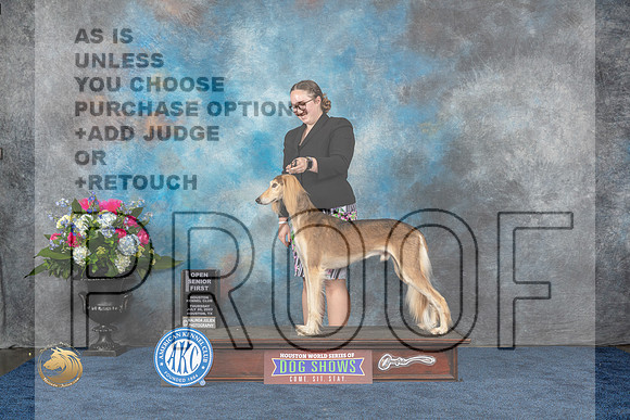 Saluki #J612 Thurs 1st Open Senior Judge Lori WilsonMJP_2354_HOUSTON_2023_HR3