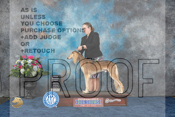 Saluki #J612 Thurs 1st Open Senior Judge Lori WilsonMJP_2355_HOUSTON_2023_HR3