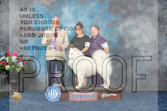 Samoyed #7 Thurs WD MAJ Judge Eric LiebesMJP_2589_HOUSTON_2023_HR3