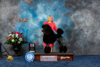 Standard Poodle #57 Thurs WD BOS MAJ Judge Donnelle Richards