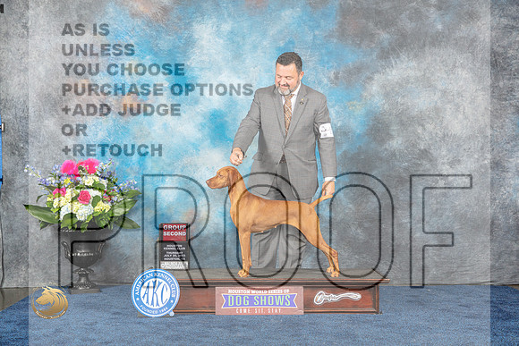 Vizsla #6 Thur G2 Judge Cindy LaneMJP_3173_HOUSTON_2023_HR3