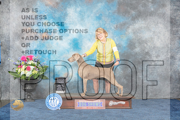Weimaraner #10 Thur G3 Judge Cindy LaneMJP_3182_HOUSTON_2023_HR3