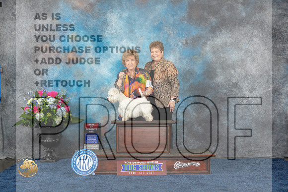 West Highland White Terrier #6 Thurs BOS Judge Del RichardsMJP_2484_HOUSTON_2023_HR3