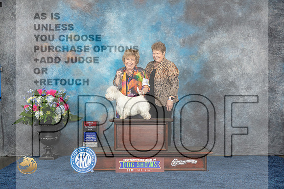 West Highland White Terrier #6 Thurs BOS Judge Del RichardsMJP_2487_HOUSTON_2023_HR3