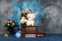 West Highland White Terrier #8 Thurs BISw BW MAJ Judge Paula Cohen