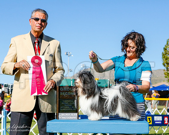 _ST_3302-2-AlamogordoOct2014-HR3