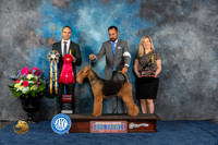 Airedale #11 Fri G2 Judge Troy Ingram