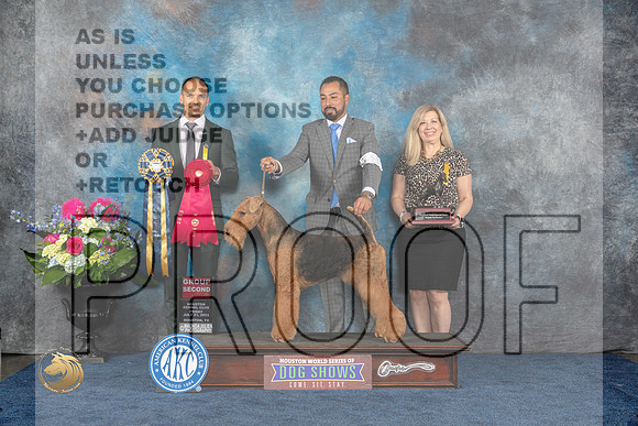 Airedale #11 Fri G2 Judge Troy IngramMJP_4497_HOUSTON_2023_HR3