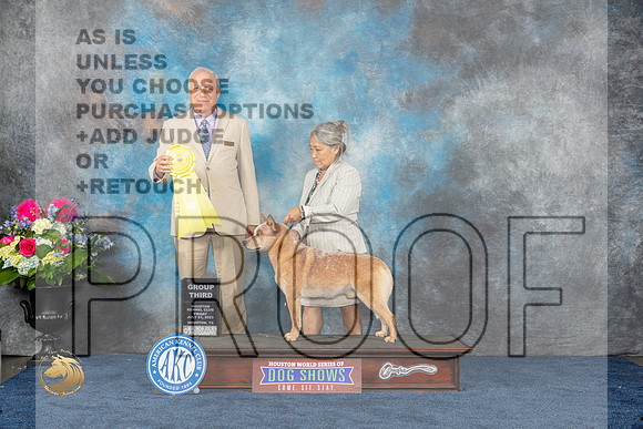 Australian Cattle Dog #19 Fri G3 Judge Eric LiebesMJP_4690_HOUSTON_2023_HR3
