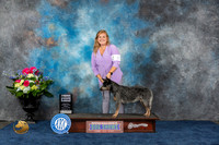 Australian Cattle Dog #6 Fri SB Judge Eric Liebes