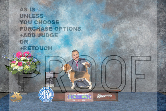 Beagle 15 #25 WD BOW MAJ Judge Ken LevisonMJP_3716_HOUSTON_2023_HR3