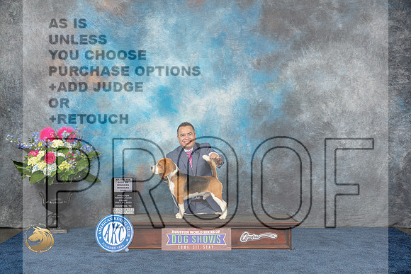 Beagle 15 #25 WD BOW MAJ Judge Ken LevisonMJP_3719_HOUSTON_2023_HR3