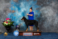 Beauceron #11 Fri WD MAJ Judge Eric Liebes