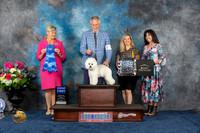 Bichon Frise #15 Fri G1 Judge Cheryl Patterson